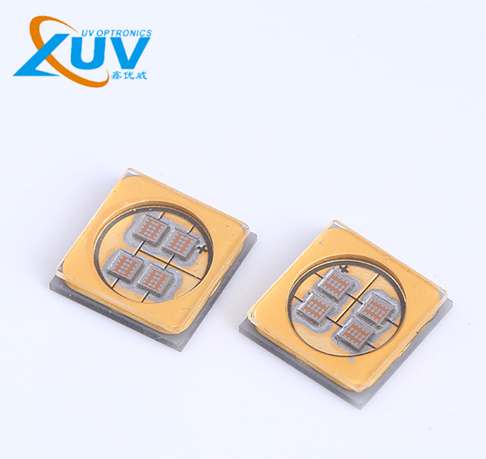 不同寵物品種適配寵物理療毯 LED 光源有何差異